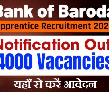 Bank of baroda Apprentice 2025